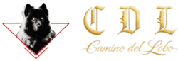Camino del Lobo